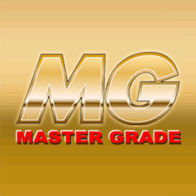 Master Grade 1/100